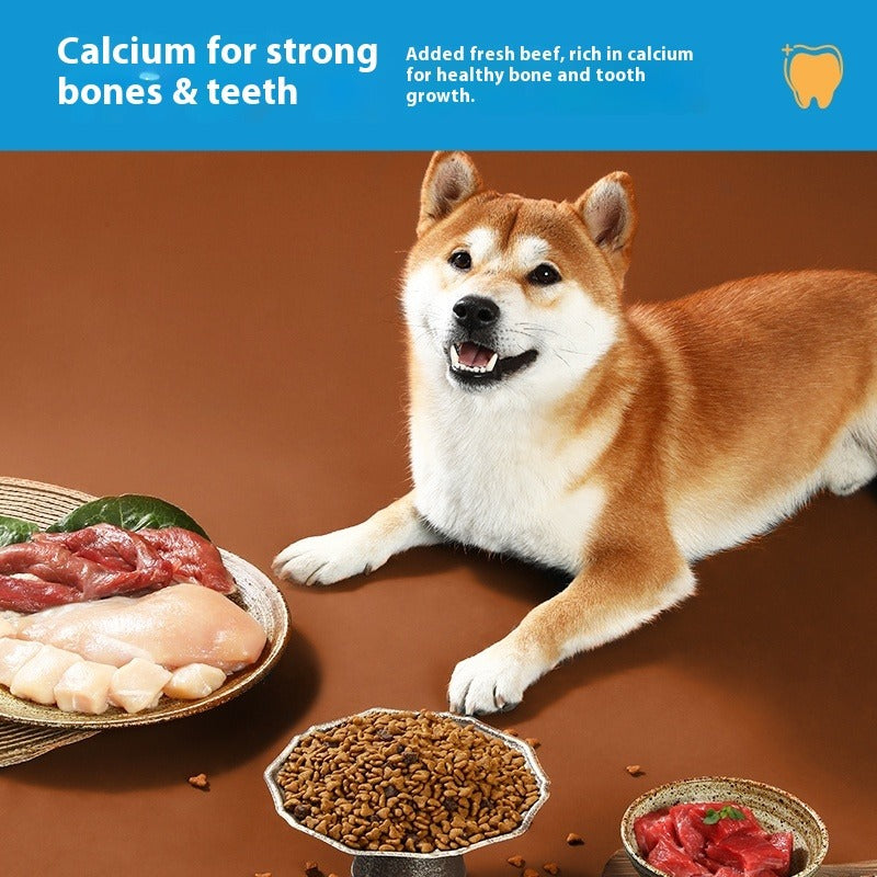 Dog Food for Puppies of All Sizes, Suitable for Teddy, Corgi and Bichon Frise, 10-pound Pack for Muscle Building and Bone Strengthening