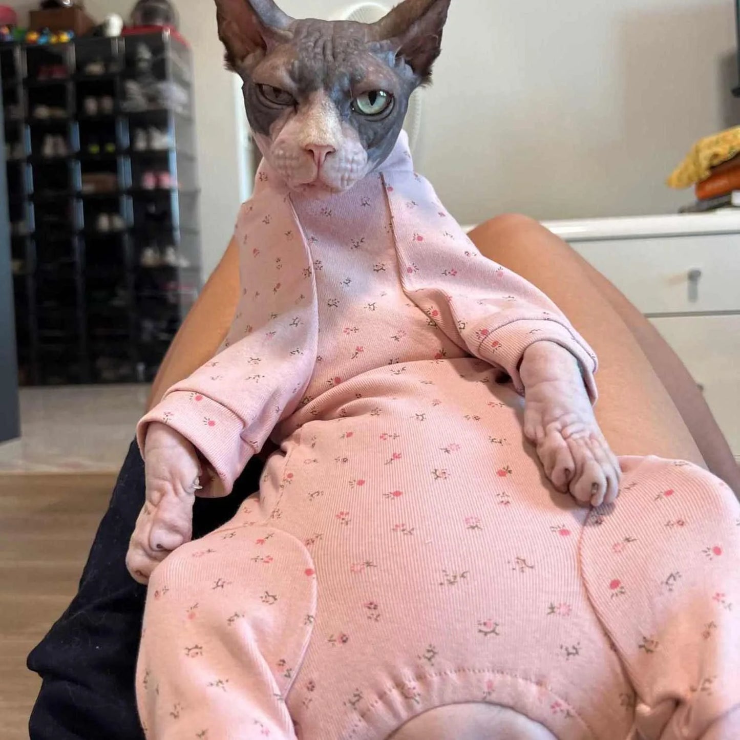 Soft Cotton Coat for Sphynx Spring Floral Jumpsuit for Hairless Cat 4-Legged Sweatshirt for Kittens Autumn Pajamas ForDevon Rex