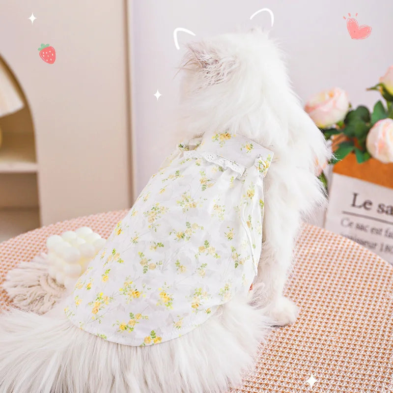 HOOPET Cat Clothes Anti-Shedding Breathable Pet Kitten Kitten English Short Ragdoll Cat Pajamas Cat Cat Summer Thin Section