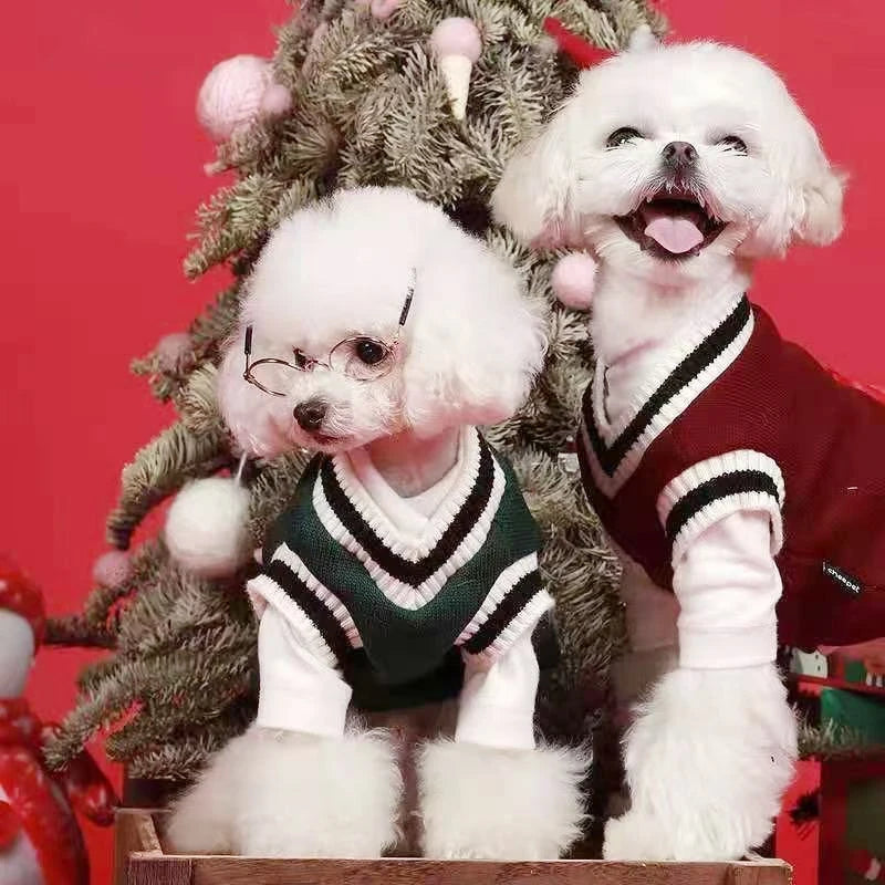 Winter Warm Pet Dog Sweater College Style V-neck Knitwear Christmas For Small Dogs Kitten Pullover Puppy Vest Kitty Outfits