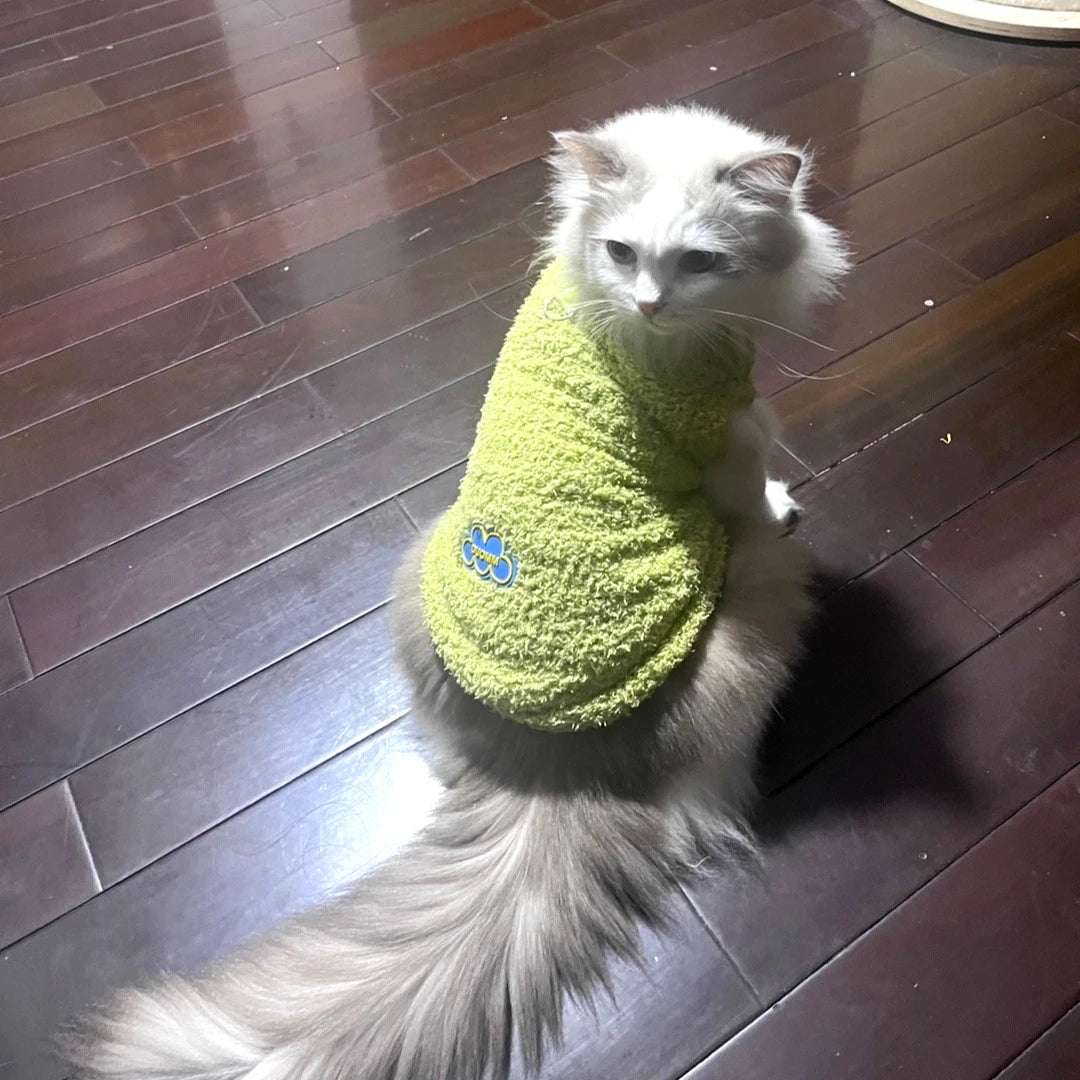 Velvet Vest Autumn and Winter Pullover Cat and Dog Clothing Cloud Velvet Pet Clothing Indoor and Outdoor Cat Clothing Decoration