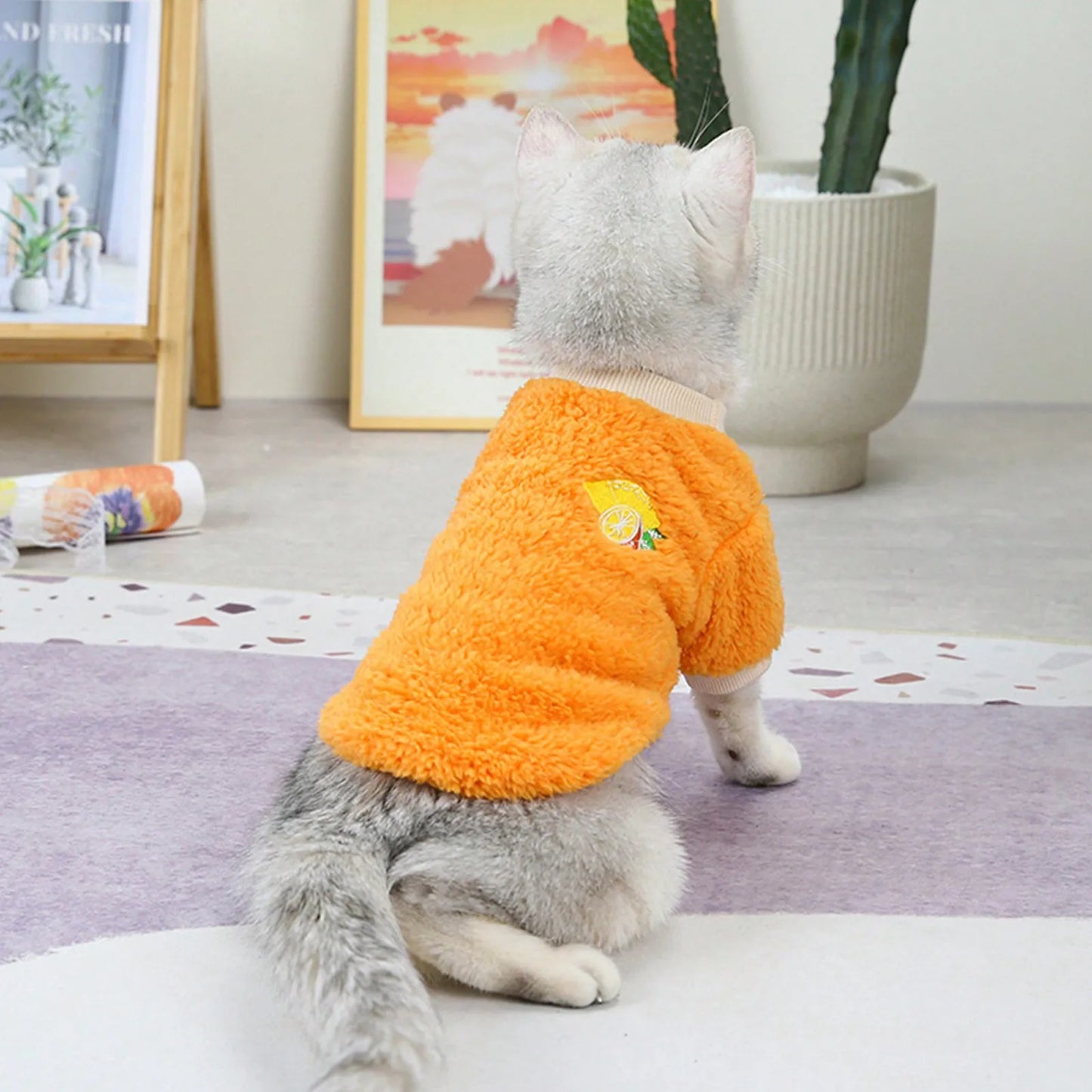 1PC Pet Plush Two Leg Robe Fruit Embroidered Coral Velvet Casual Hoodie