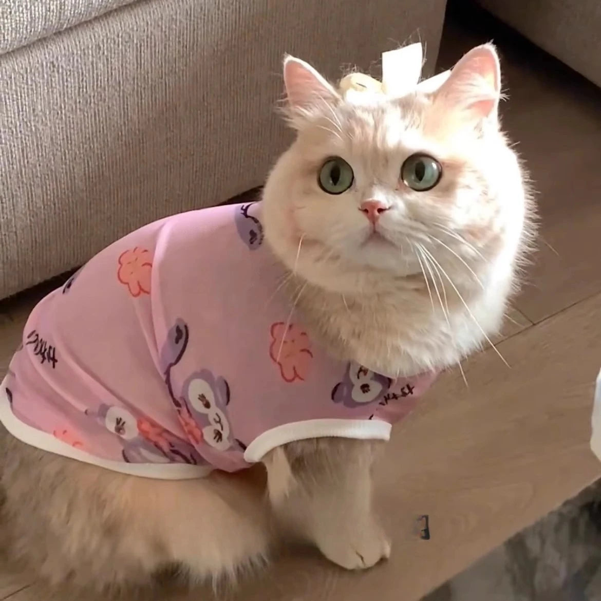 Pet Clothes Golden Gradient Anti-Shedding Vest Cat & Puppy Summer Tank Top Lightweight Breathable All-Season Dog Cat Vest