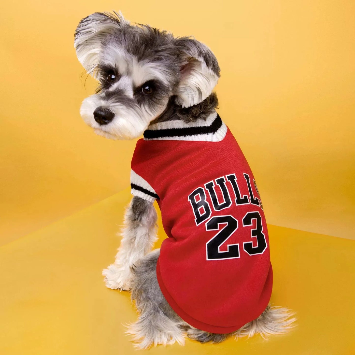 College Style Pet Dog Sweater Winter Warm Dog Clothes for Small Medium Dogs Puppy Cat Vest Chihuahua French Bulldog Yorkie Coat