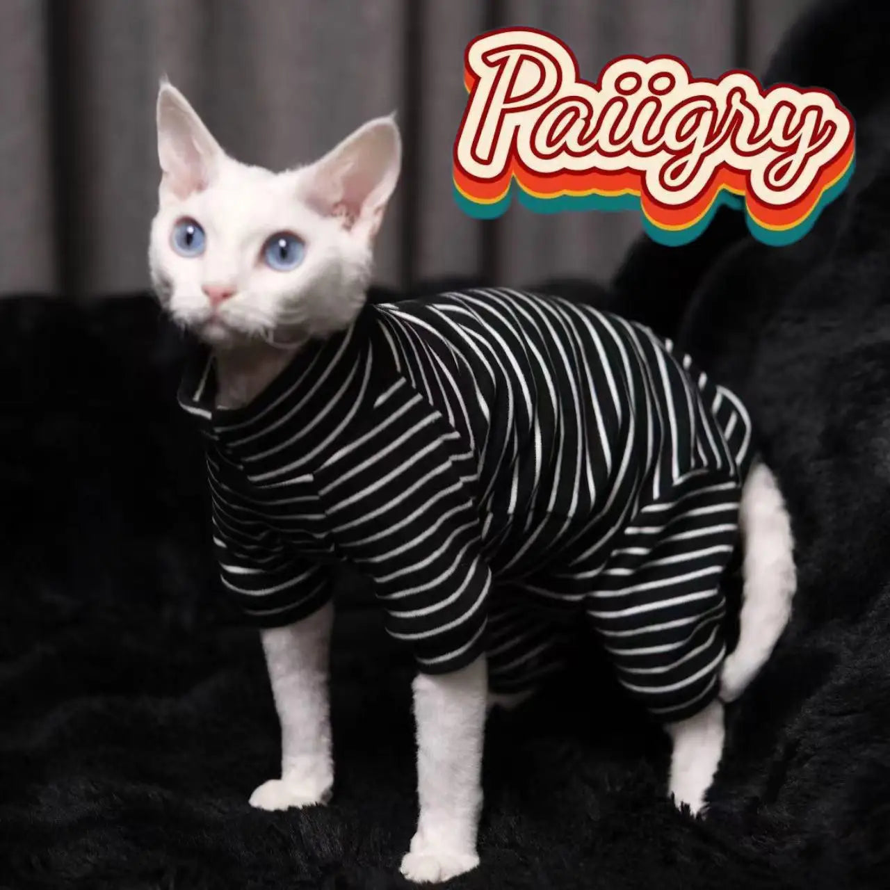 Hairless cat clothes tricolor four-legged clothes Sphinx warm high stretch home four-legged clothes pet clothing