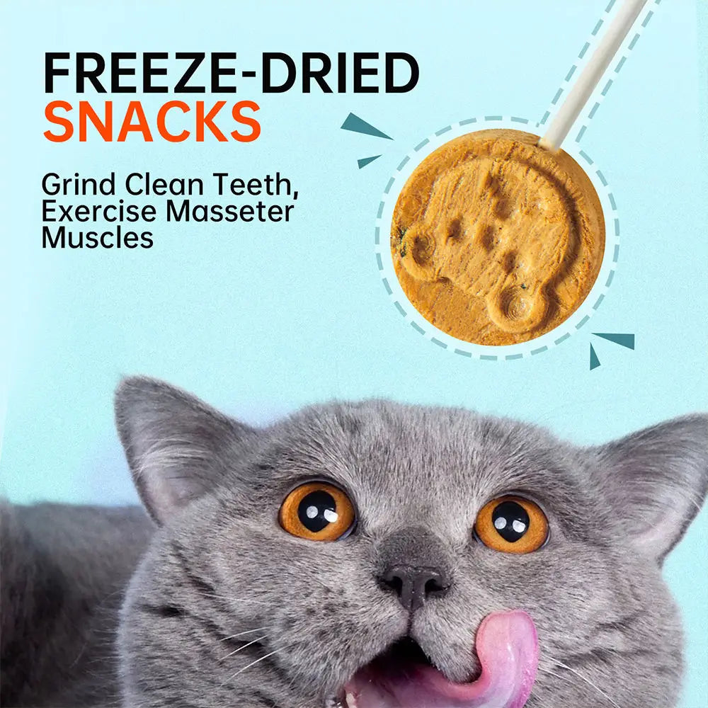 Natural Cat Treats Chicken Duck and Fish Meat Pet Freeze-dried Dog Snacks