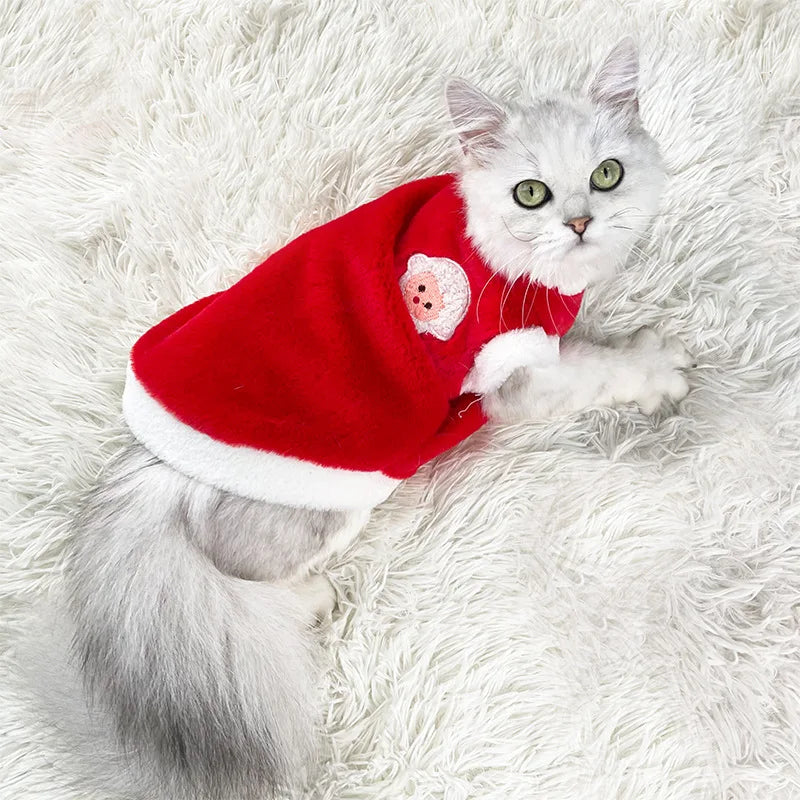 Cute Autumn and Winter Cat Clothing for Dogs and Dogs Warm and Thick Vest To Prevent Hair Loss Pet Clothing for Small Dogs