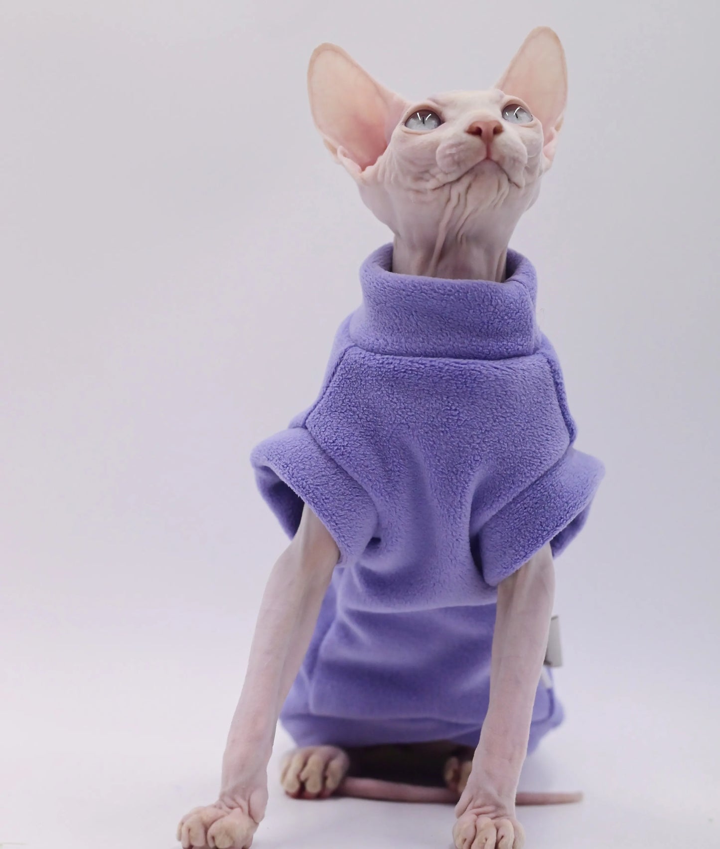 DUOMASUMI Dirt-resistant Sphynx Clothes Soft Cat Costume Thick Fall Winter Apparel Clothes for Cat Devon Hairless Cat Clothing