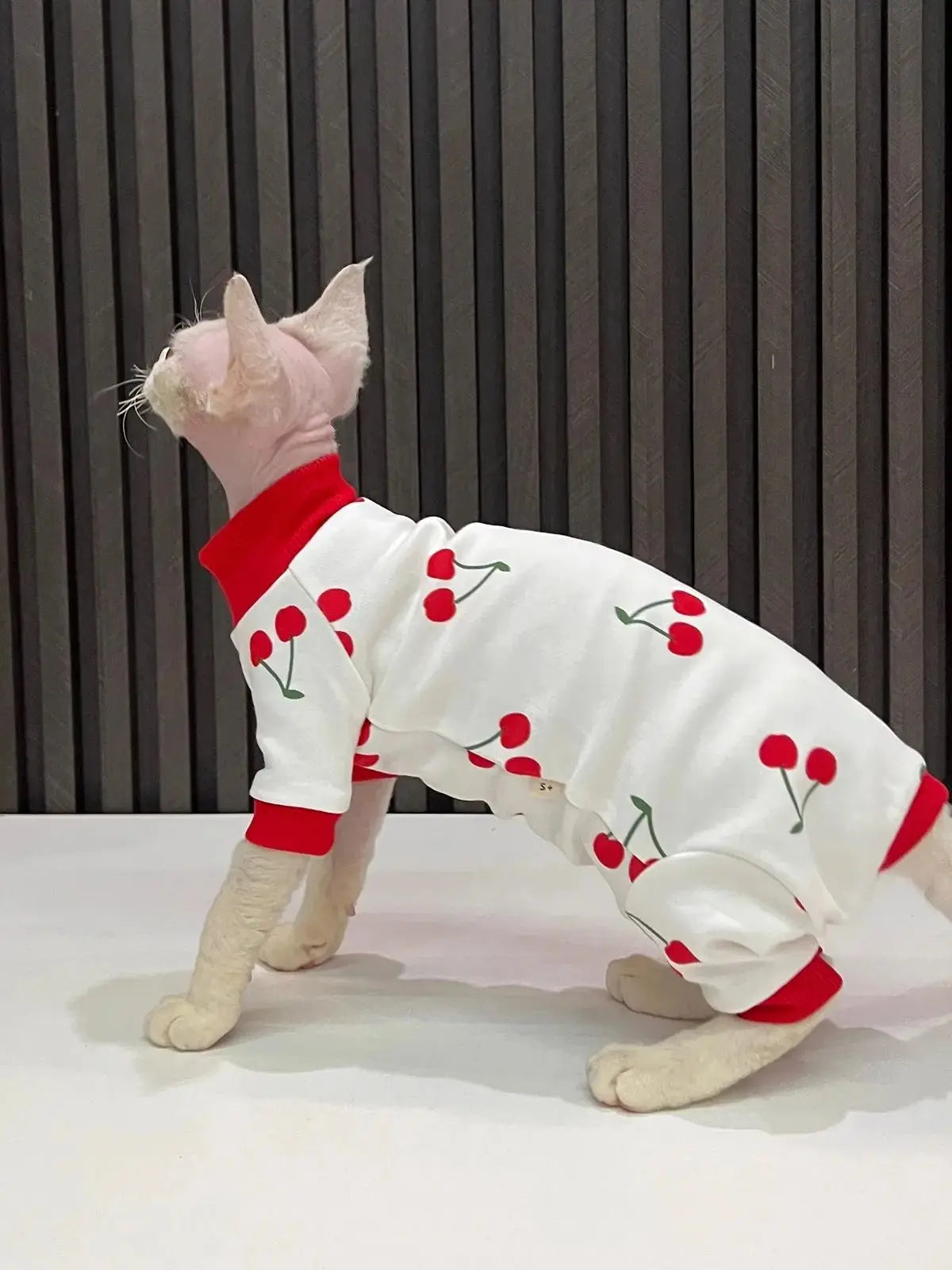 Cartoon quadruple cherry print hairless cat clothes sphynx cat devon all inclusive lint sleeved cat clothes