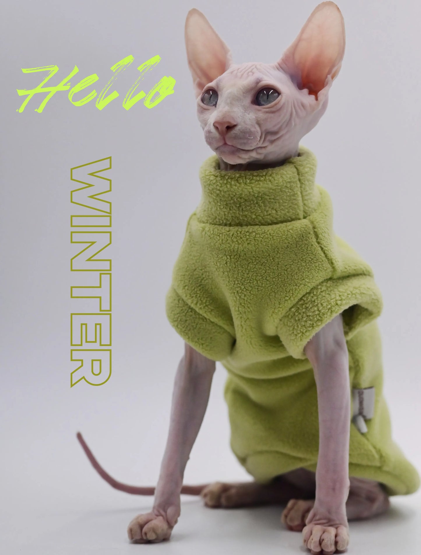 DUOMASUMI Dirt-resistant Sphynx Clothes Soft Cat Costume Thick Fall Winter Apparel Clothes for Cat Devon Hairless Cat Clothing