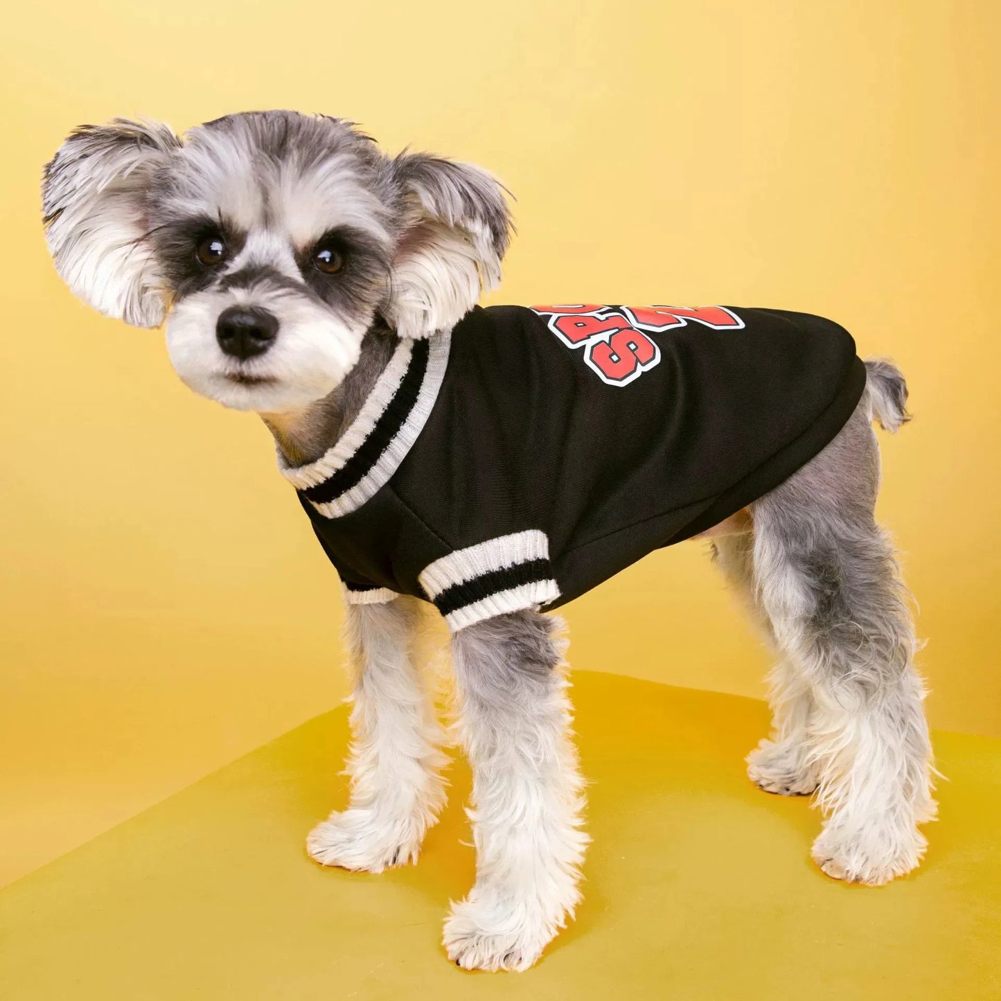 College Style Pet Dog Sweater Winter Warm Dog Clothes for Small Medium Dogs Puppy Cat Vest Chihuahua French Bulldog Yorkie Coat
