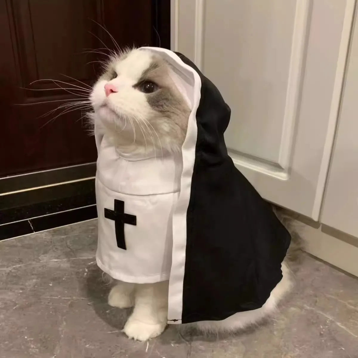 Pet Halloween costumes - funny and quirky costume for dogs, Halloween nun outfits for cats, dog clothes for Halloween