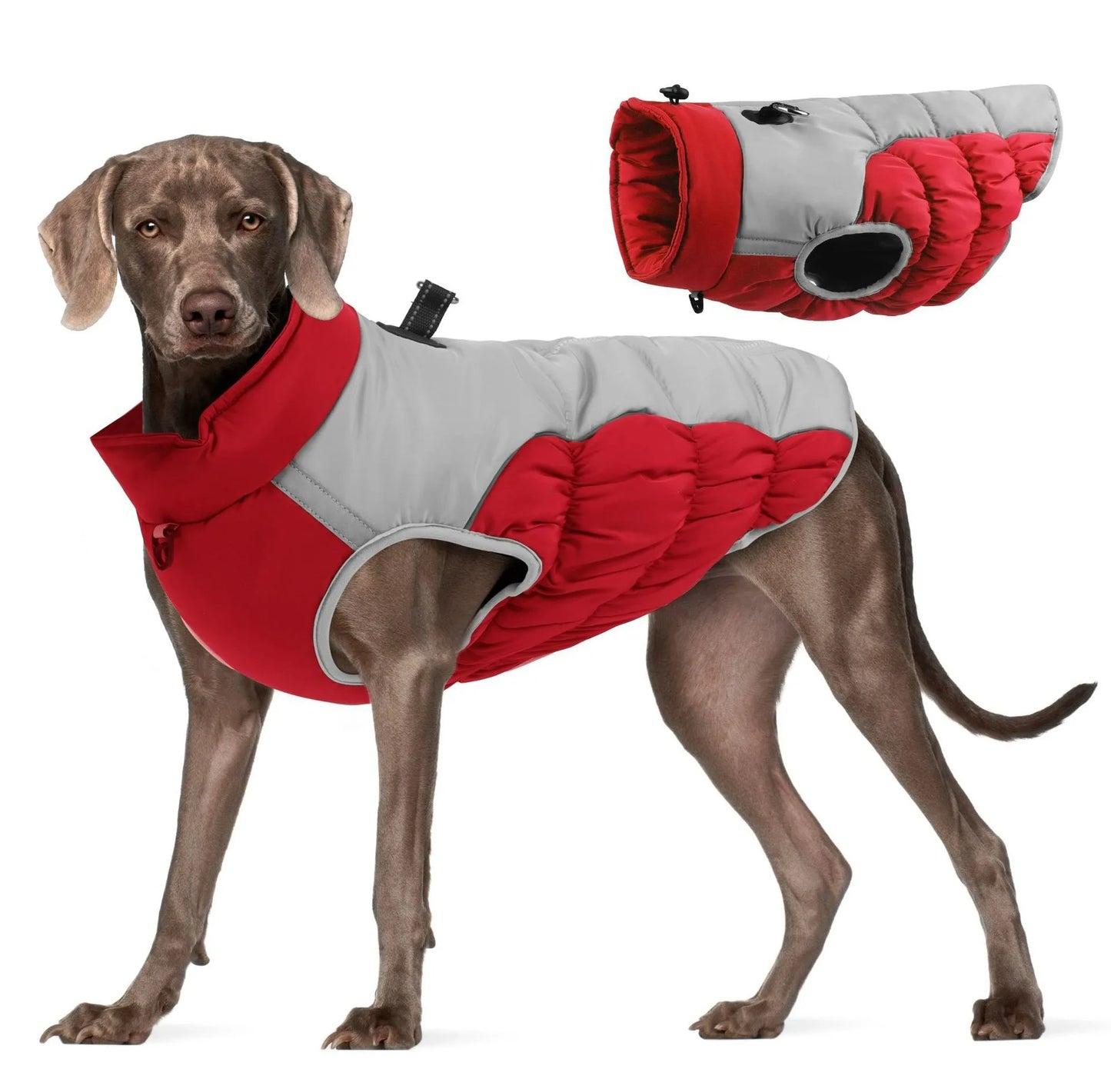 Winter Warm Dog Clothes French Bulldog Puppy Jacket Coat Waterproof Pet Clothing Outfit Vest for Small Medium Large Dogs