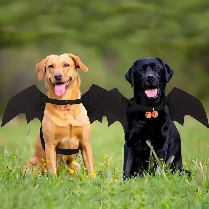 Halloween Pet Costume Bat Wings with Bell Chest Back Strap Dog Cat Clothes for Party Cosplay Holiday Decoration Use