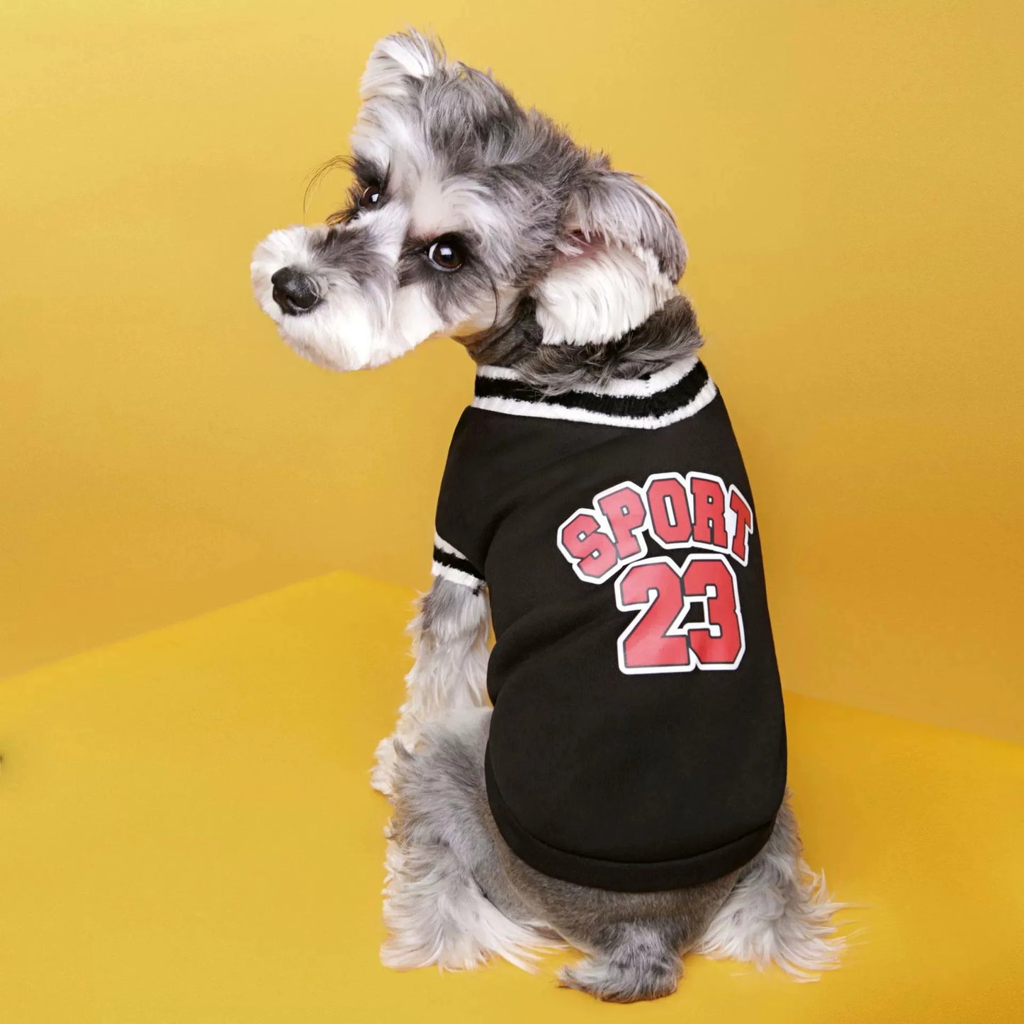 College Style Pet Dog Sweater Winter Warm Dog Clothes for Small Medium Dogs Puppy Cat Vest Chihuahua French Bulldog Yorkie Coat