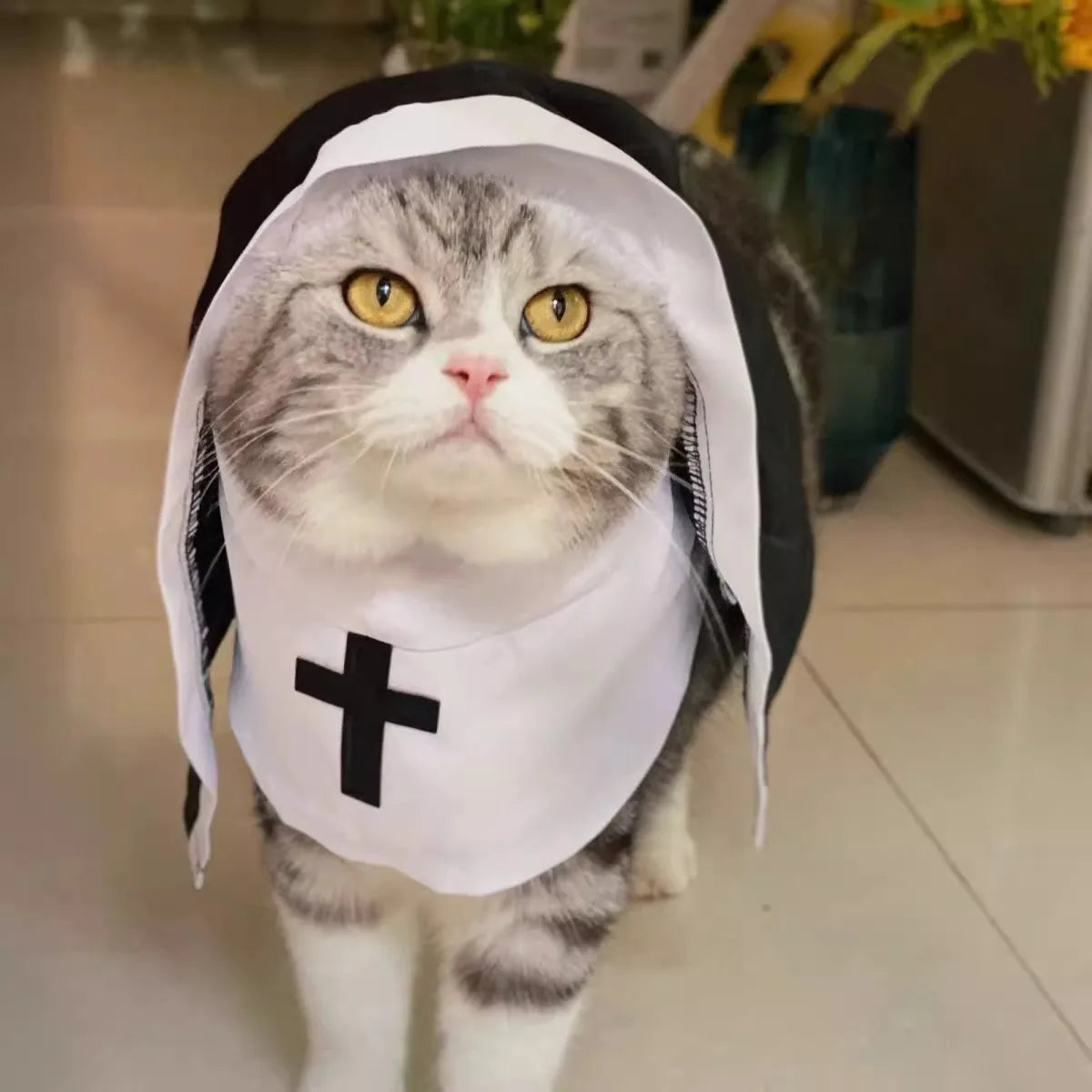 Pet Halloween costumes - funny and quirky costume for dogs, Halloween nun outfits for cats, dog clothes for Halloween