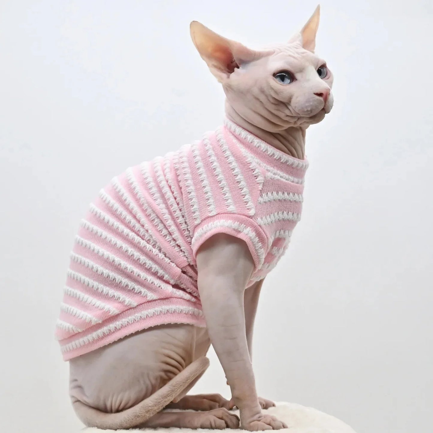 Cute Cat Clothes Summer Sphinx Striped Bottoming Shirt Kittens Vest For Sphynx Cat Breathable Pet Clothing DovenRex Costume