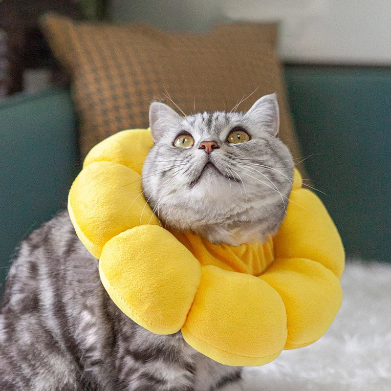 Pet Cat Small Dog Recovery Collar, Adorable Sunflower After Surgery Adjustable Pet Collar,Wound Healing Protection Collar