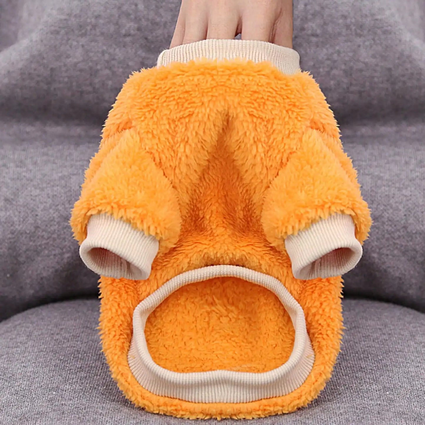 1PC Pet Plush Two Leg Robe Fruit Embroidered Coral Velvet Casual Hoodie