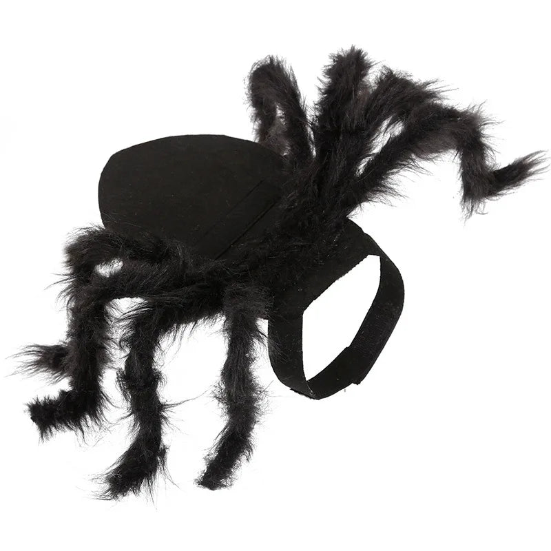 NONOR Halloween Dog Cat Clothes Pet Cosplay Funny Spider Costume Halloween Party Costumes for Small Medium Dog Cat Costumes