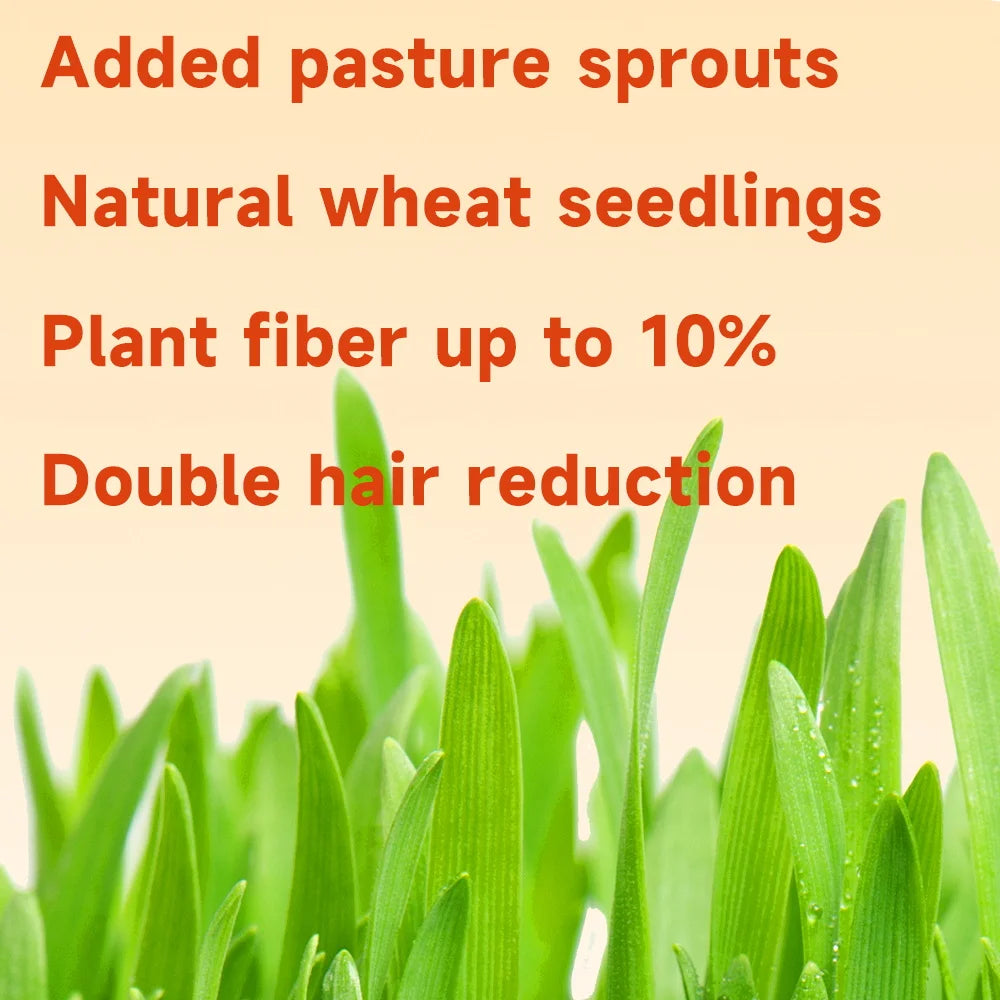 Dry Cat Food Healthy Freeze Dried Cat Treats Goat Milk Cat Grass Snack