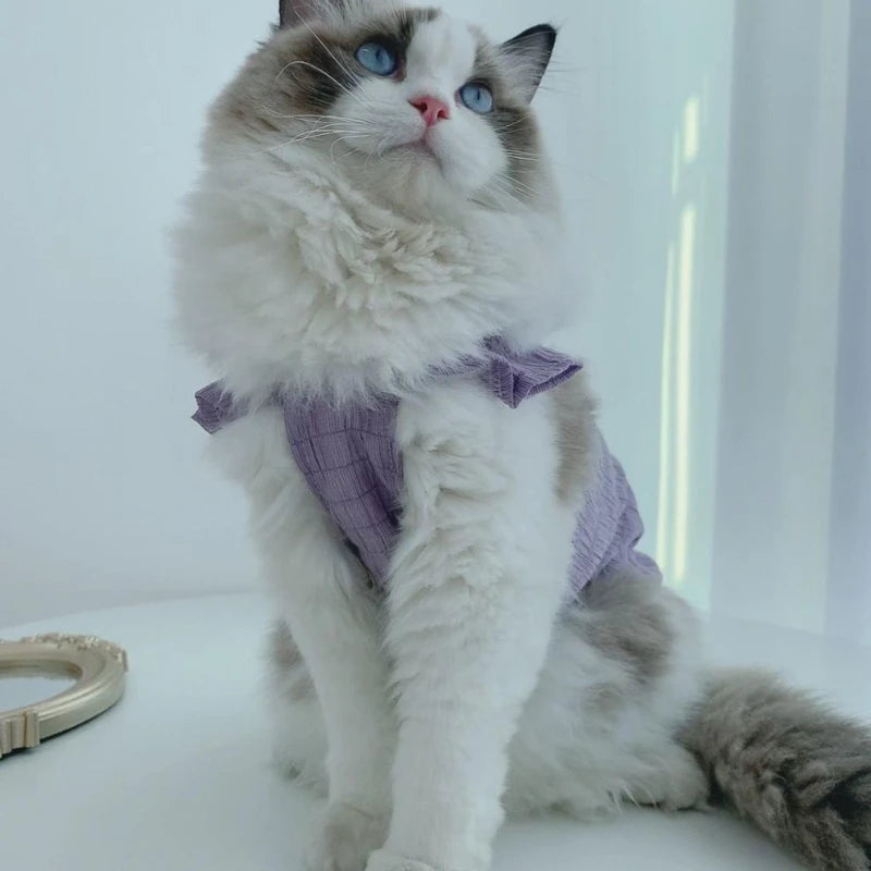 Cat Summer Clothes, Soft Kitten Clothing with Cute Angel Wings, Pet Clothes