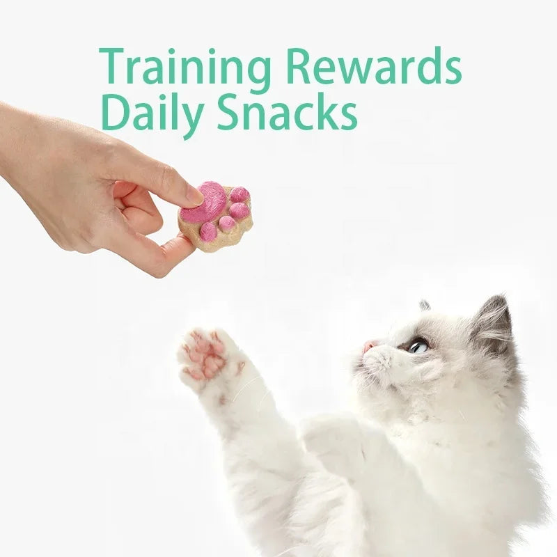 Cat Freeze Dried Snacks High Protein Chicken Fruits and Vegetables Freeze Dried Food for Pet