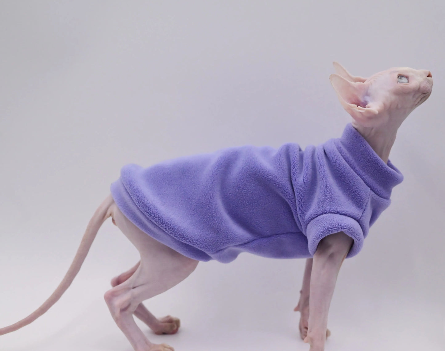 DUOMASUMI Dirt-resistant Sphynx Clothes Soft Cat Costume Thick Fall Winter Apparel Clothes for Cat Devon Hairless Cat Clothing