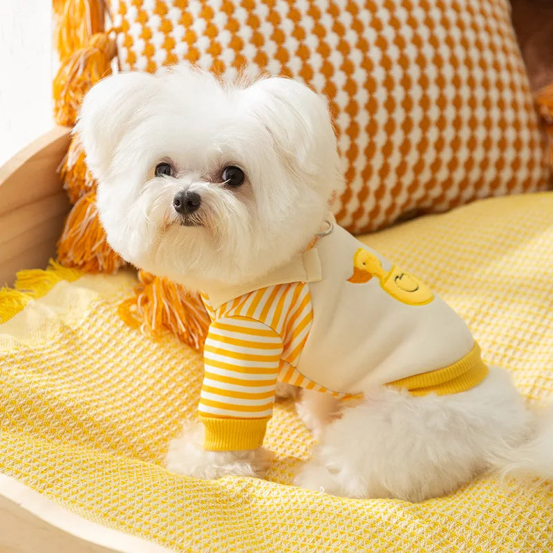 Thin Autumn Winter Dog Hoodies Cute Dog Clothes 2025 Girls Dog Outfit Pet Dog Coat with D-Ring Puppy Sweatshirt Chihuahua Jacket