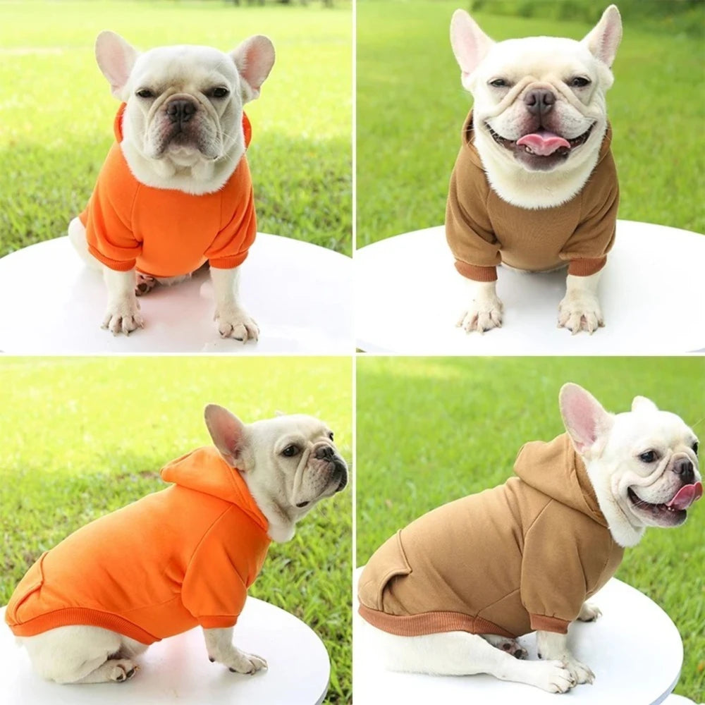 Pet Clothes Small Medium-sized Pet Schnauzer Pure Hooded Sweatshirt Luxury Fashion Hoodie for Cats and Dogs