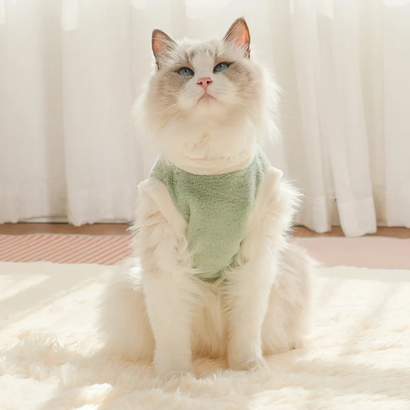 Cute Autumn and Winter Cat Clothing for Dogs and Dogs Warm and Thick Vest To Prevent Hair Loss Pet Clothing for Small Dogs