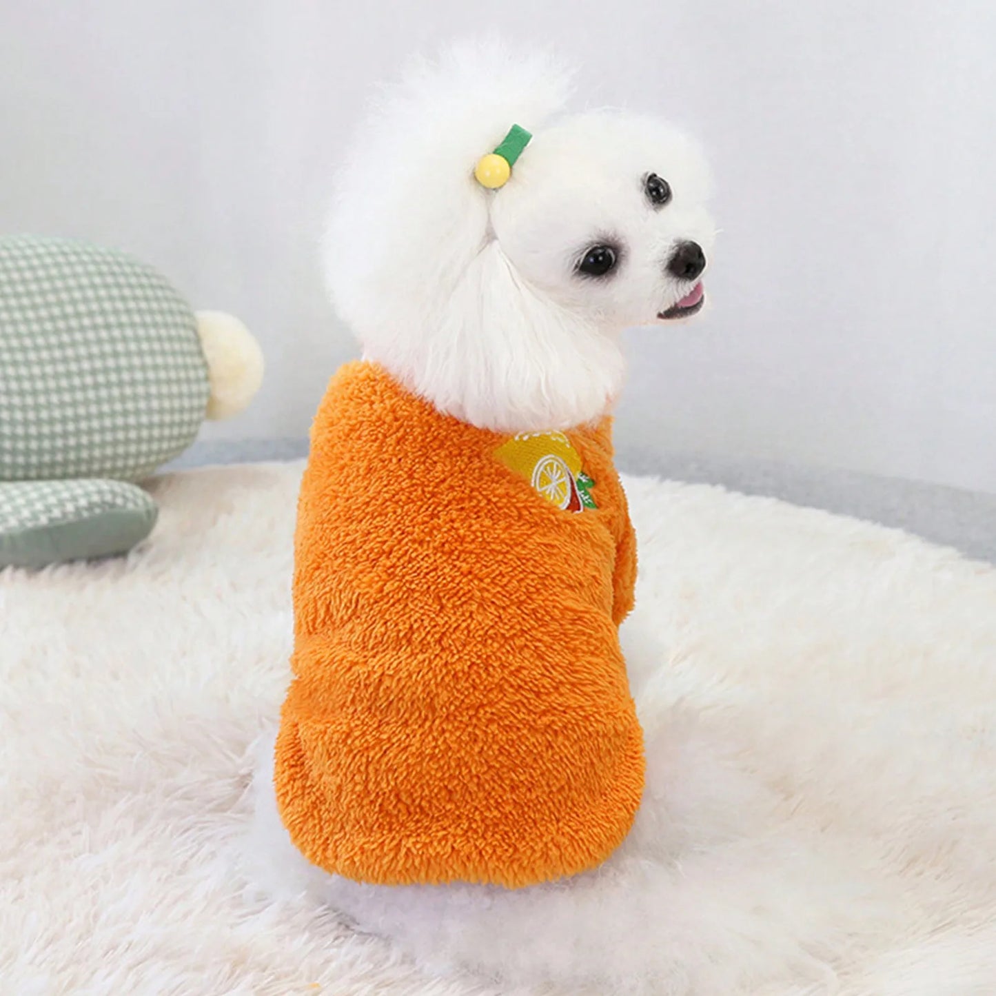1PC Pet Plush Two Leg Robe Fruit Embroidered Coral Velvet Casual Hoodie