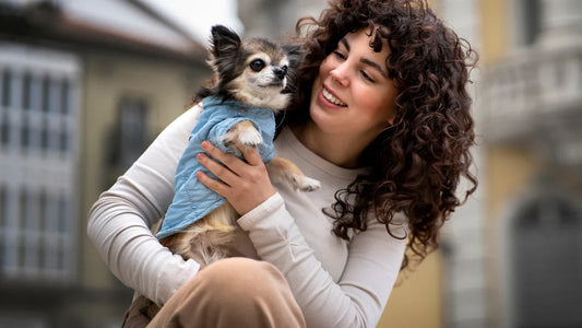 Pet Exercise and Play
