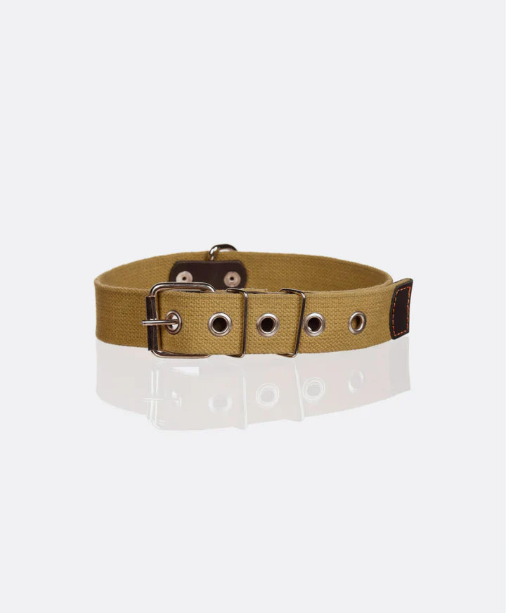 Pet Collar