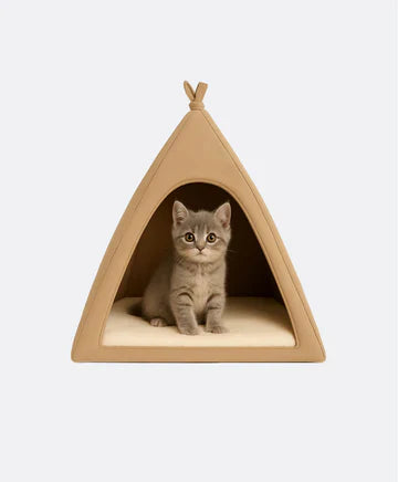 Furry Friend's Home