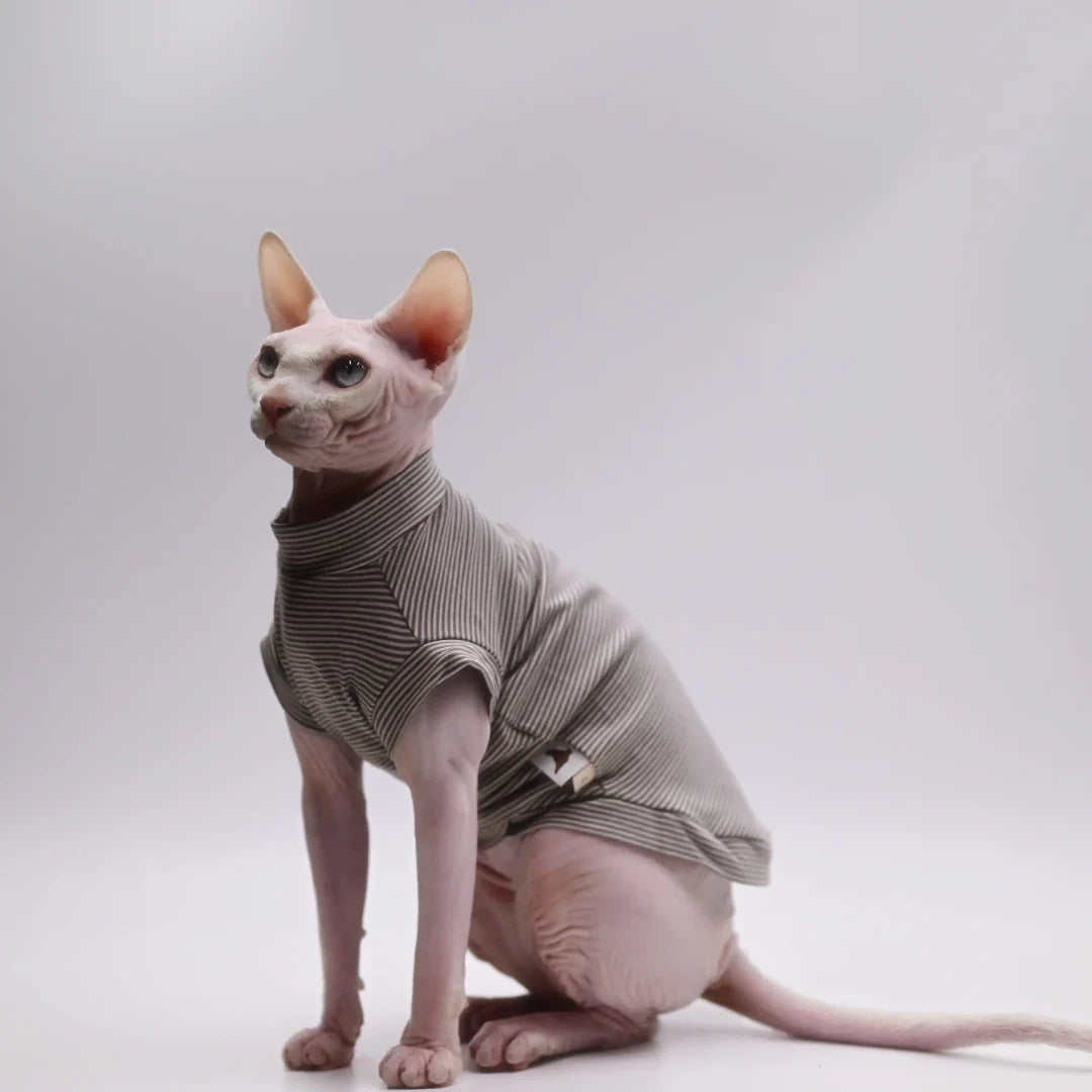 Beautiful cat clothes