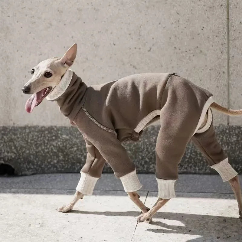 Beautiful dog clothes