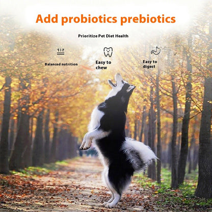20KG Premium Complete Dog Food for Large Breeds – Suitable for Labrador, Husky, Golden Retriever, Samoyed, German Shepherd, Adult Dogs