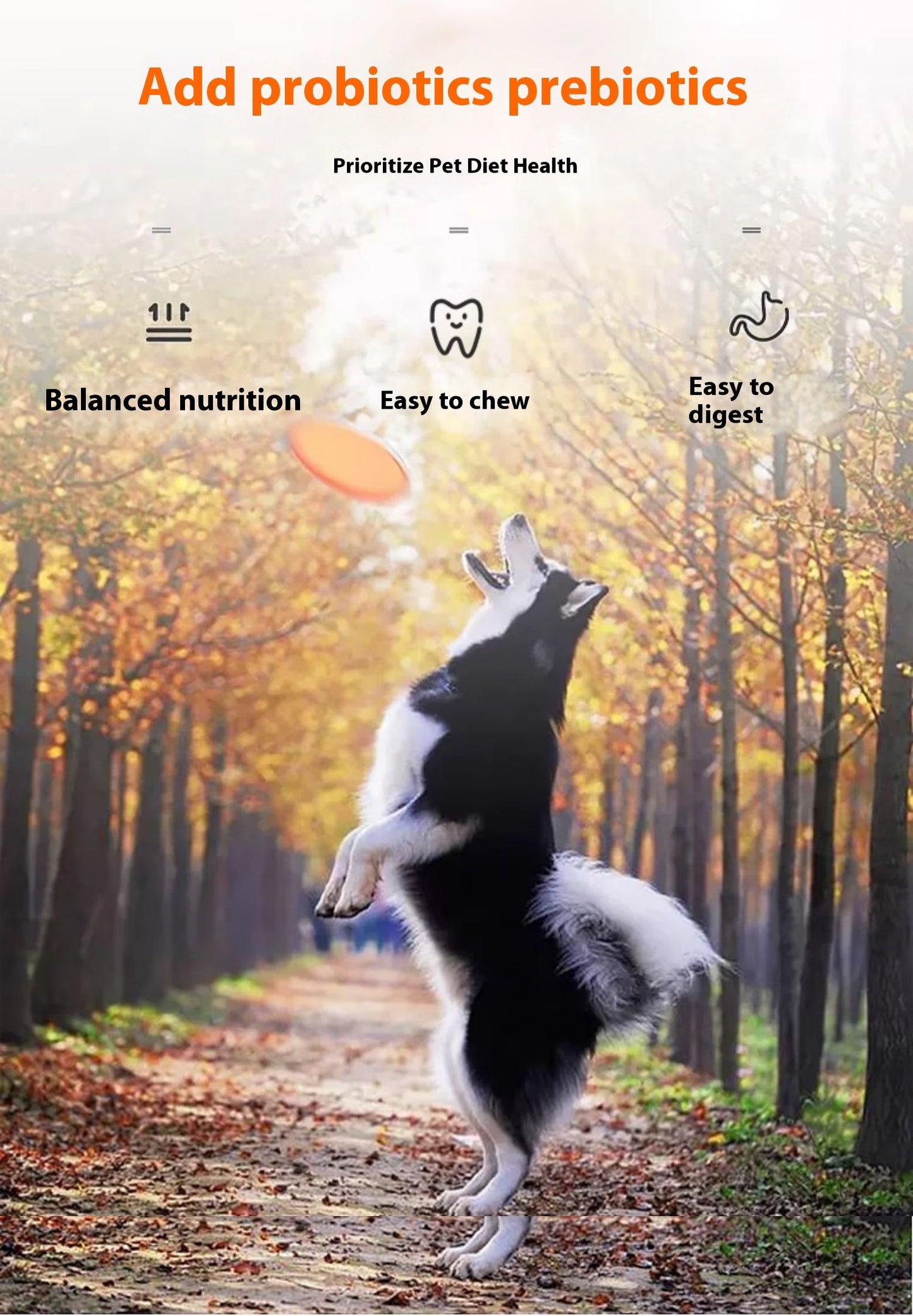 20KG Premium Complete Dog Food for Large Breeds – Suitable for Labrador, Husky, Golden Retriever, Samoyed, German Shepherd, Adult Dogs