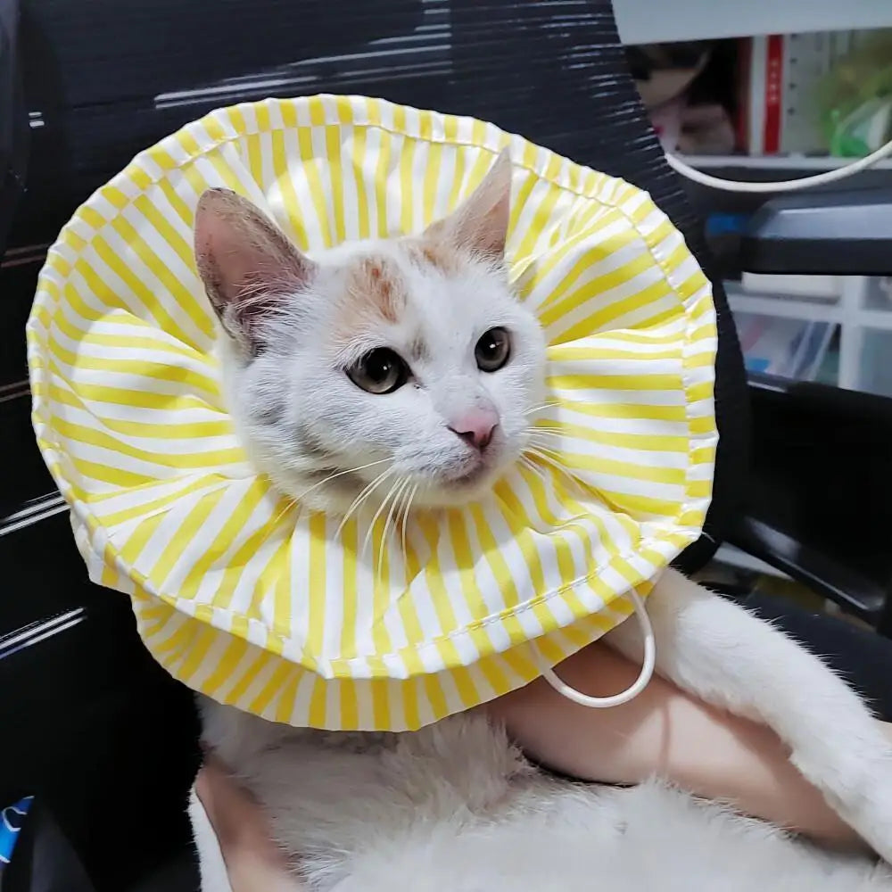 Adorable Pet Accessories Elizabeth Collar Anti-Itch Worm Repellent Sterilization Scarf Dogs Cats Supplies 2024 New