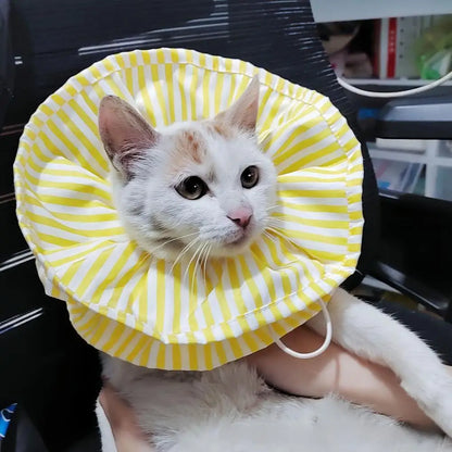 Adorable Pet Accessories Elizabeth Collar Anti-Itch Worm Repellent Sterilization Scarf Dogs Cats Supplies 2024 New