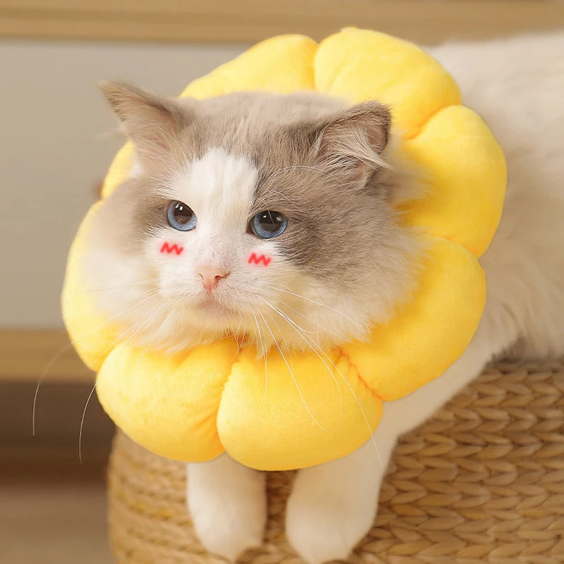 Pet Cat Small Dog Recovery Collar, Adorable Sunflower After Surgery Adjustable Pet Collar,Wound Healing Protection Collar