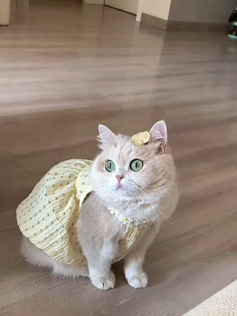 Cute Instagram Cat Summer Clothes Little Skirt Anti-hair Old Crepe Muppet Cat English Short Pet Vest Halter Clothes