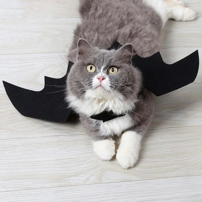 1PC Cute Pet Black Bat Wings Harness Costume Pet Cosplay Suit Cat Dog Halloween Party Pet Supplies Funny Dog Halloween Costume