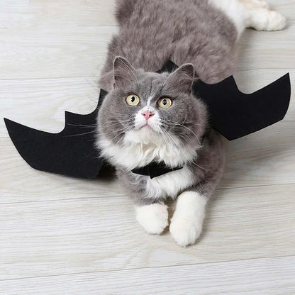 1PC Cute Pet Black Bat Wings Harness Costume Pet Cosplay Suit Cat Dog Halloween Party Pet Supplies Funny Dog Halloween Costume