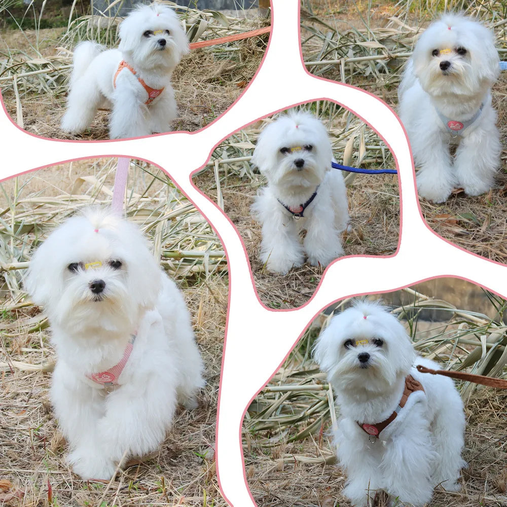 Cat Winter Small Dog Harness Leash Rabbit Plush Reflective Pet Harness Vest-Style Puppy Outdoor Dog Lead Walking Cat Windproof