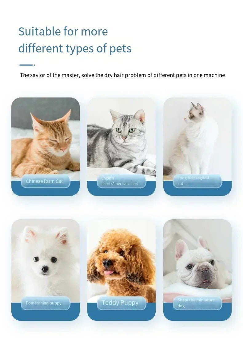 New Spherical Household Dryer Cat and Dog Hair Dryer Hair Blowing Bathing Pet Drying Box Negative Ion Hair Dryer 5-speed