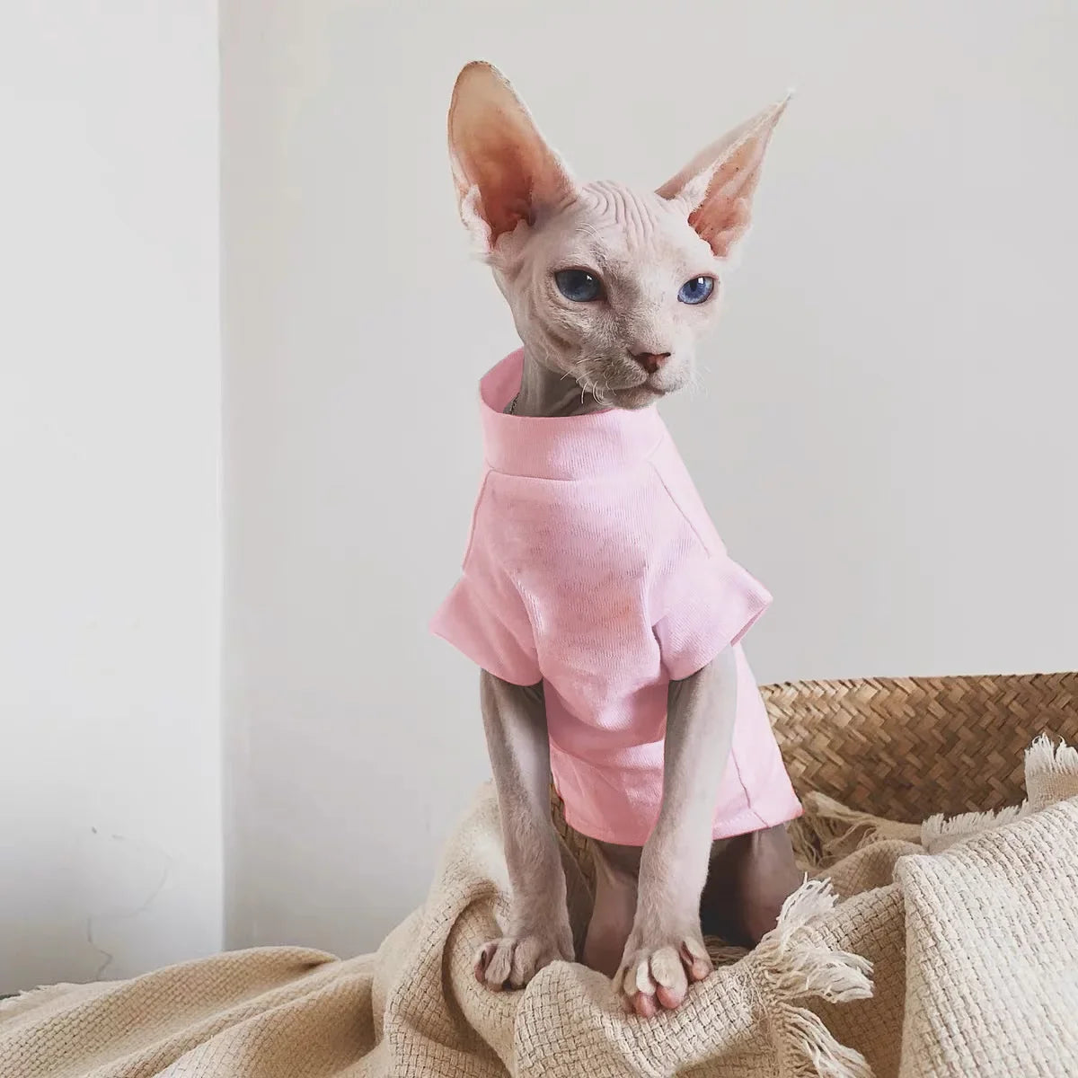 Cotton vest for cat, soft and sleeveless, thin and soft, for Devon and Cornish, summer