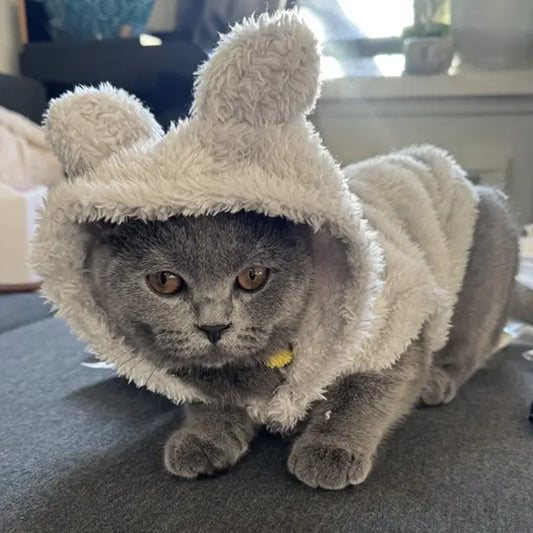 Cute Cat Clothes Rabbit Ears Winter Warm Cozy Plush Pet Coat For Small Medium Dogs Cats Puppy Soft Kitty Sphynx Chihuahua Hoodie