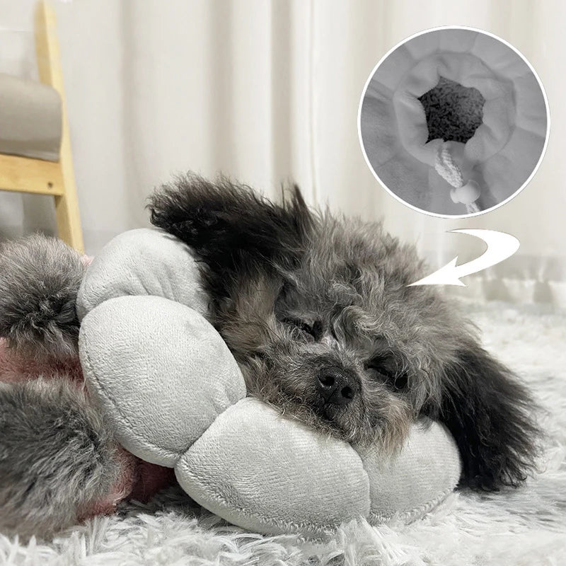 Pet Cat Small Dog Recovery Collar, Adorable Sunflower After Surgery Adjustable Pet Collar,Wound Healing Protection Collar